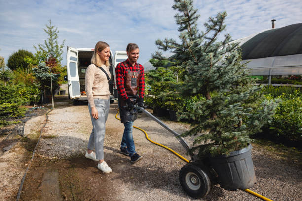Best Sod Installation  in Carbondale, CO